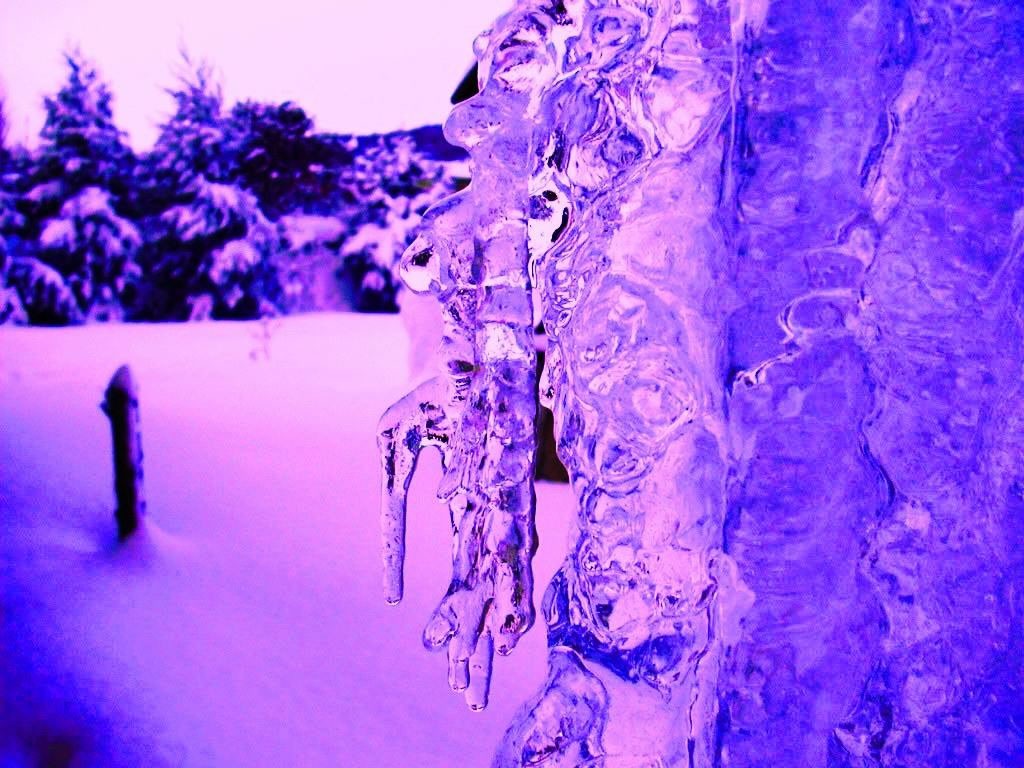 purple