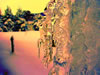 desert-ice