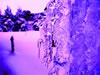purple